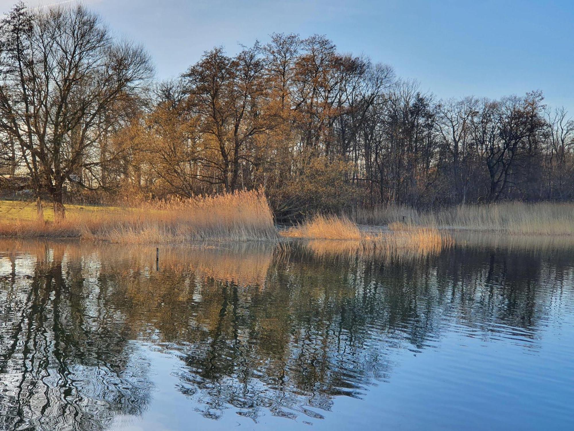 Idyllisches-Blockbohlenhaus-Mit-Eigenem-Garten-Und-Sauna-Zum-Wohlfuehlen Martensrade Exterior foto